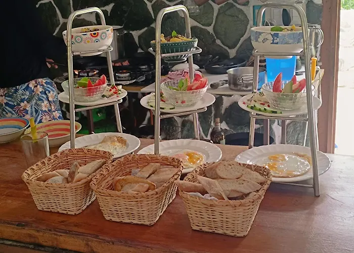 El Paraiso De Carmen